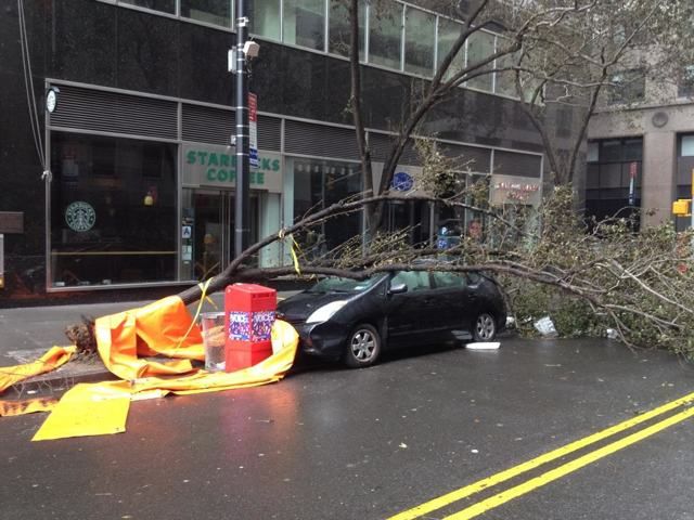 Prius gets tree on Maiden Lane